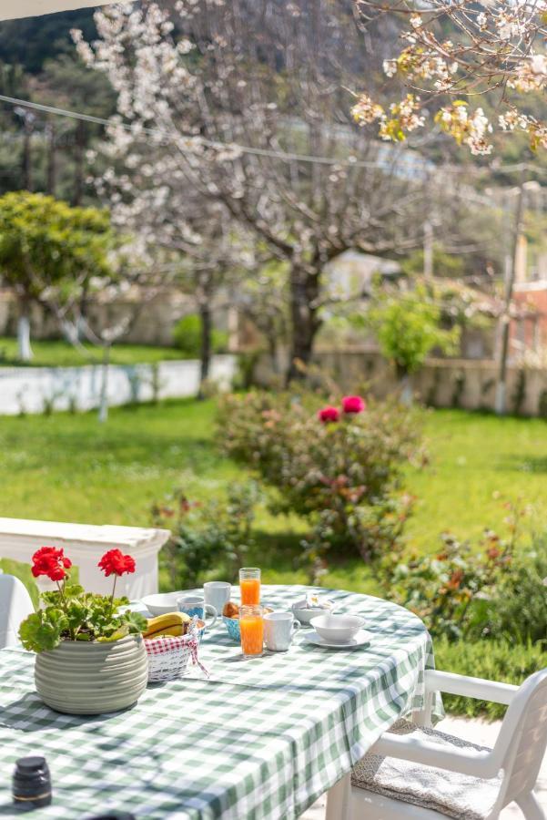 To Ktimataki Villa Агиос Гордиос Екстериор снимка