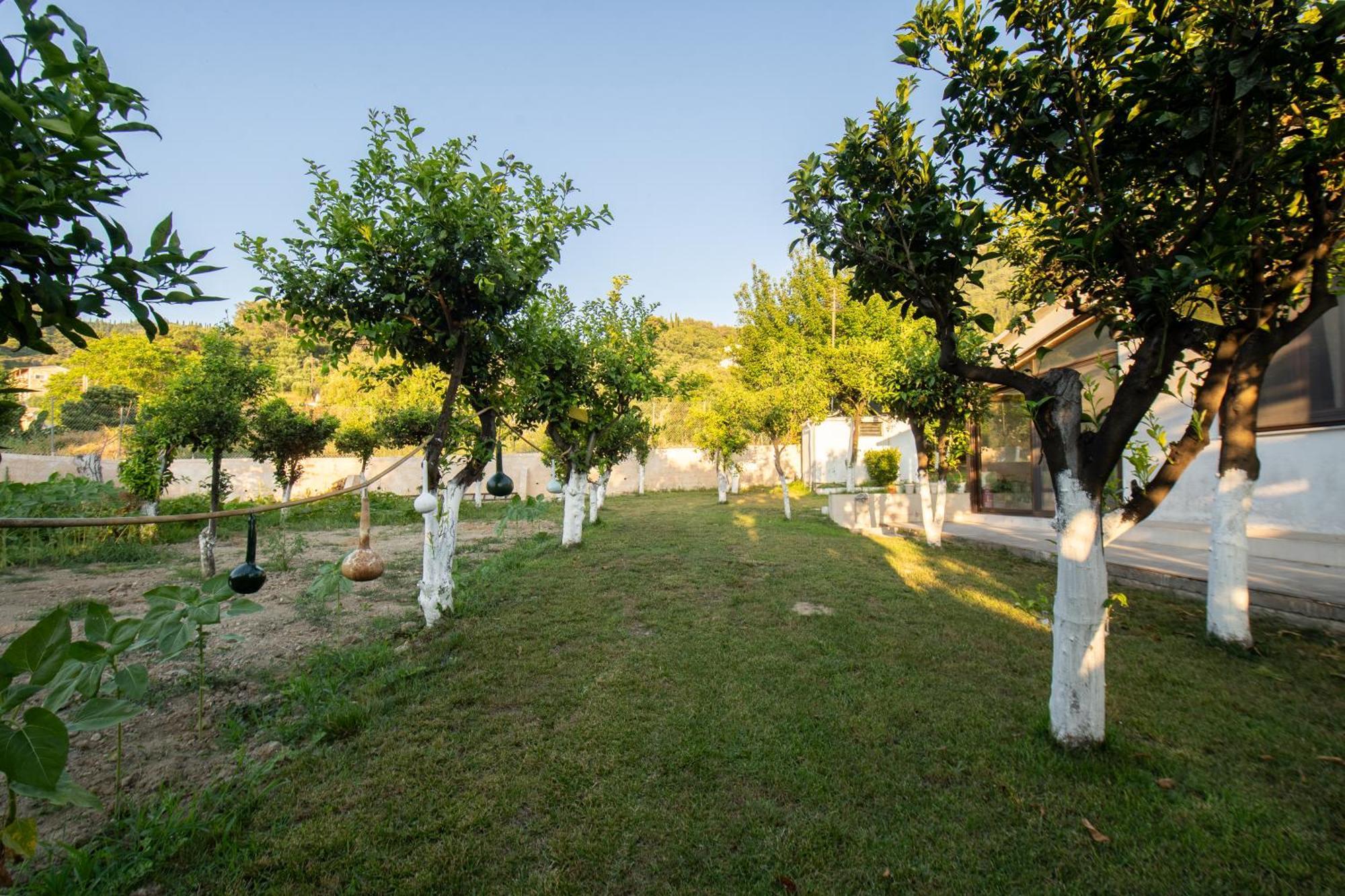 To Ktimataki Villa Агиос Гордиос Екстериор снимка
